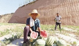 大城县吃瓜最新事件爆料,揭秘背后惊人真相